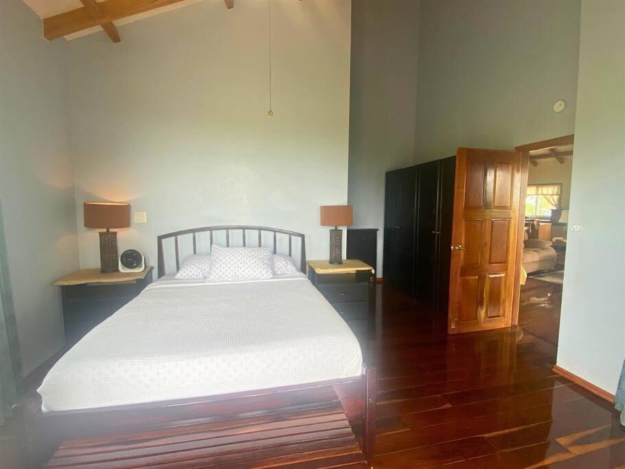 Bahia Vista - Spectacular Views - 4 Bedrooms Placencia المظهر الخارجي الصورة